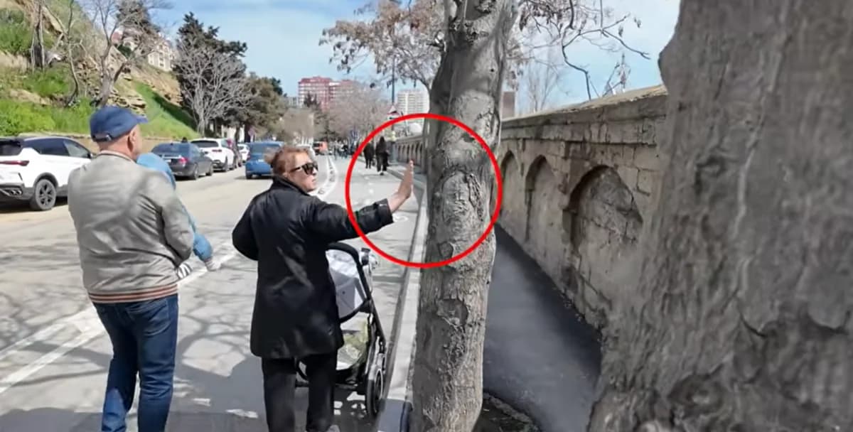 İnsanların problemdən qurtula bilmədiyi prospekt: Dirək və ağaclar səkini keçilməz edib - VİDEO