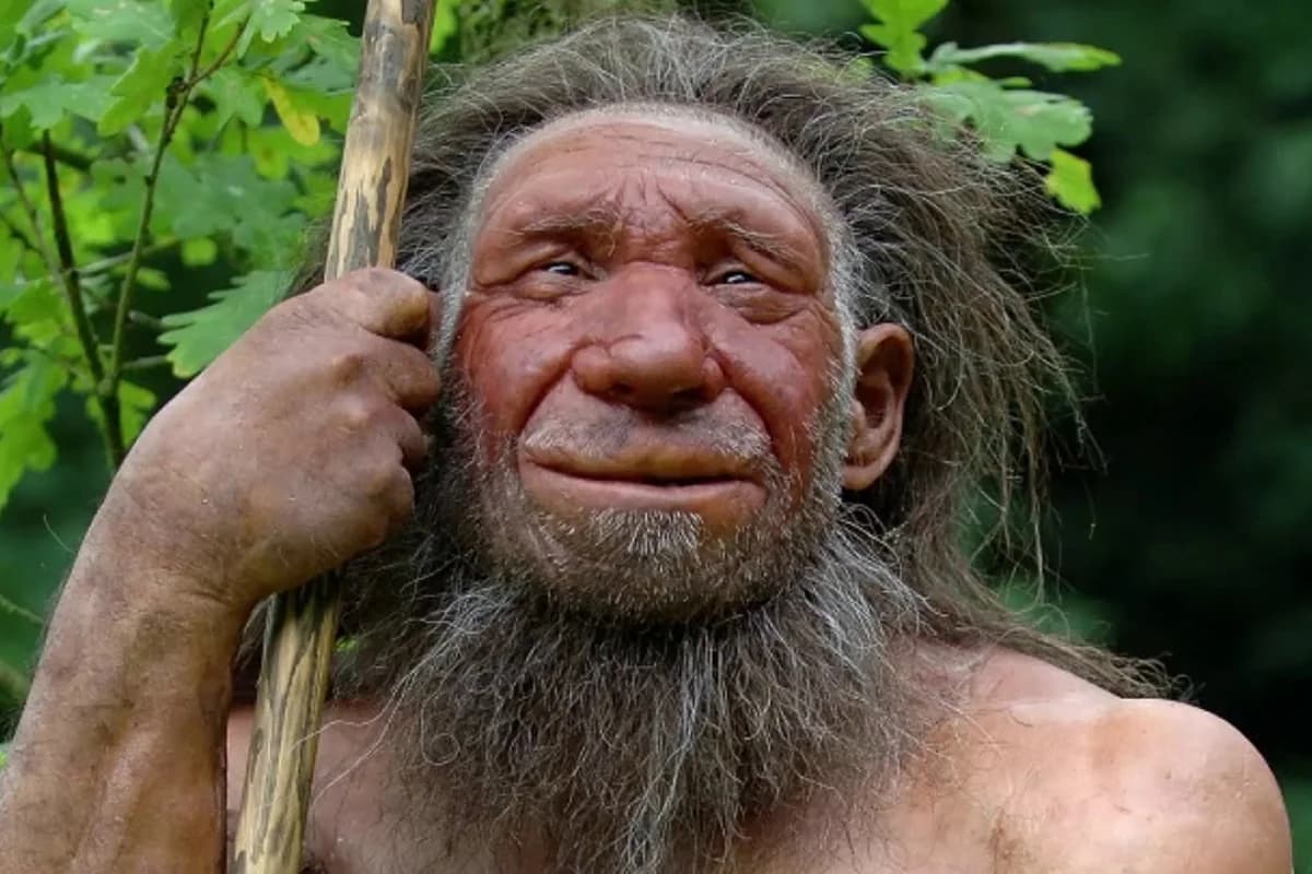 Neandertalların yoxa çıxması ilə bağlı yeni elmi faktlar