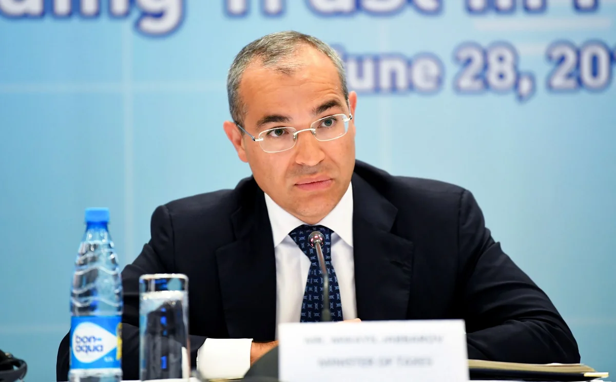 Mikayıl Cabbarov: "Zəngəzur dəhlizinin açılması Naxçıvanın daha sürətli inkişafına əhəmiyyətli töhfə verəcək"