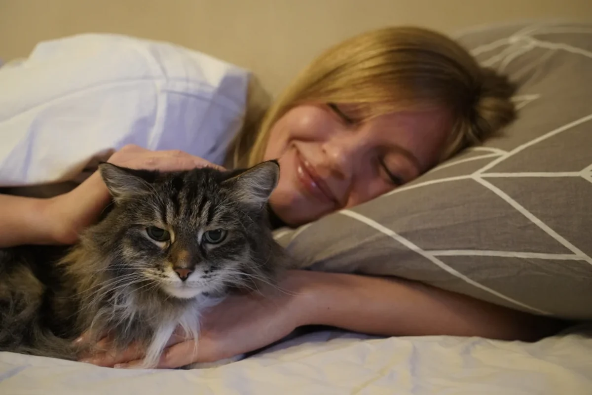 Pişiklərin davranışlarındakı müəyyən sirlər açıqlandı