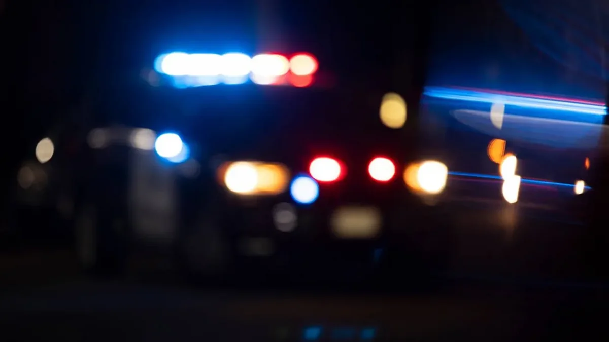 Britaniyalı gənc süni intellektin "məsləhəti" ilə anasını çəkiclə öldürüb