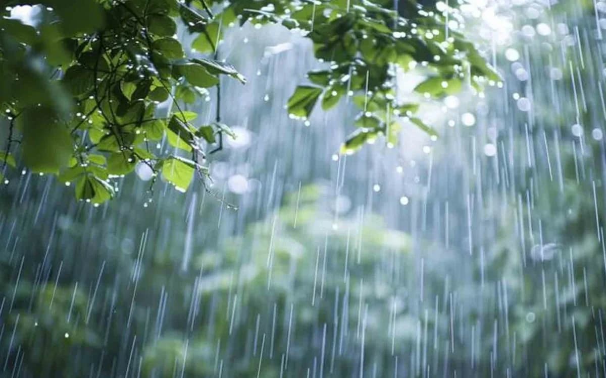 Sabah hava necə olacaq? - 30.03.2026