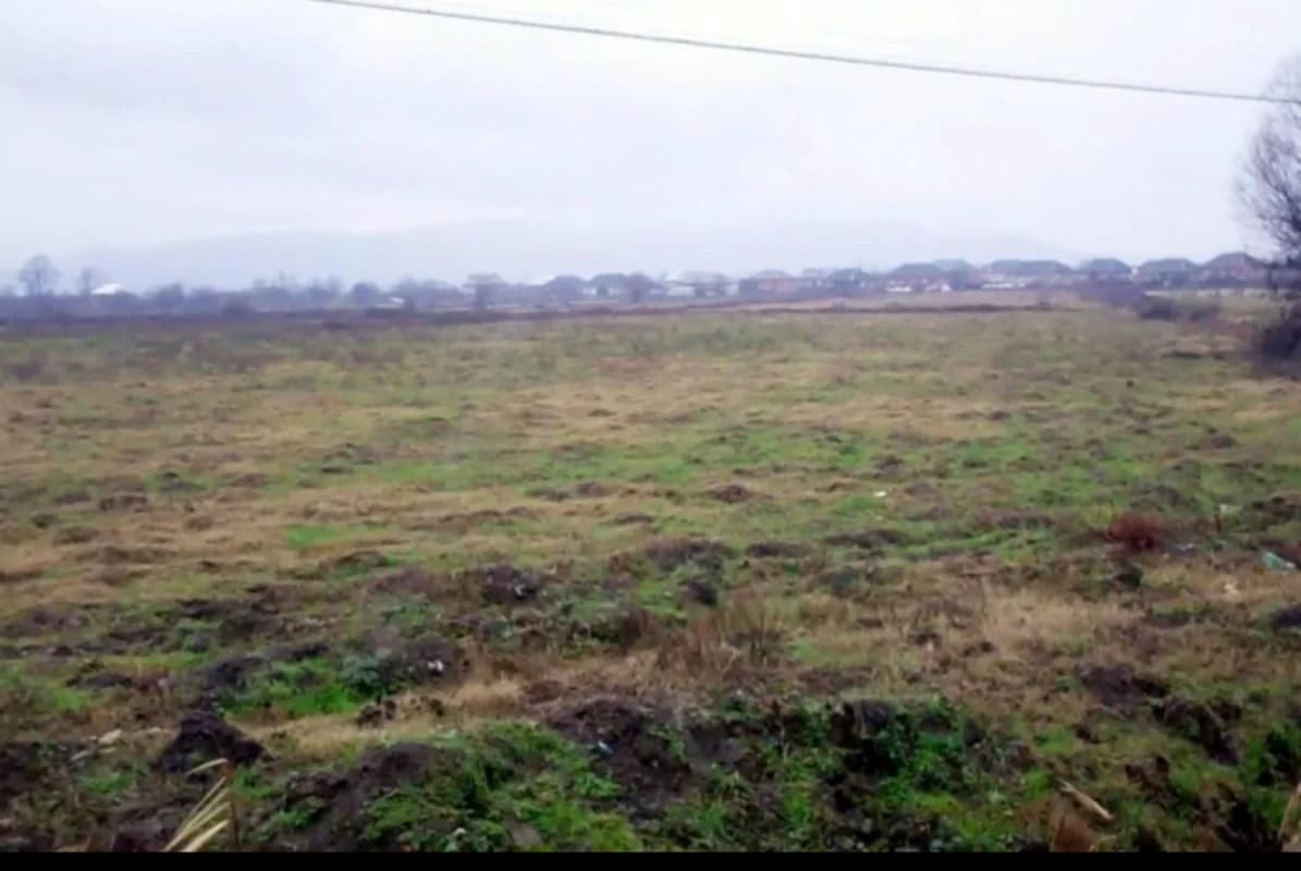 Neftçalada torpaq maxinasiyası: Əkilməyən sahələrə subsidiyalar ayrılıb - FOTO