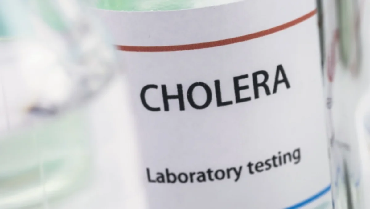 Afrika ölkələrinin birində vəba epidemiyasının yayıldığı açıqlandı