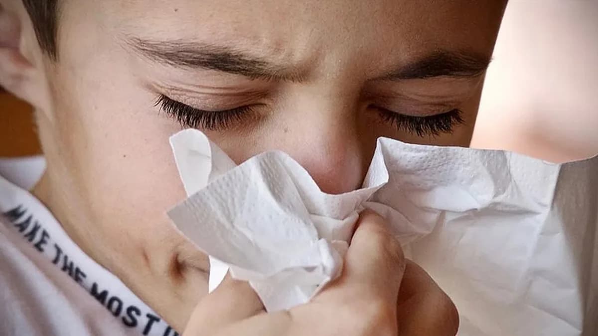 Mütəxəssis xəbərdarlıq edir: Yaz allergiyası təhlükəlidir