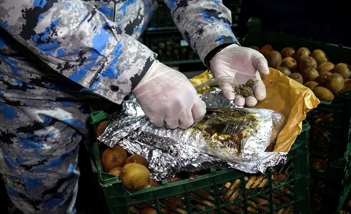 Kivi yükü aparan nəqliyyat vasitəsində külli miqdarda narkotik aşkar edilib - FOTO - VİDEO