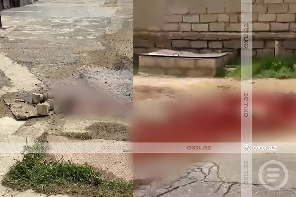 Zığ qəsəbəsində kanalizasiya problemi: Boruları heyvan qalıqları tutub - VİDEO