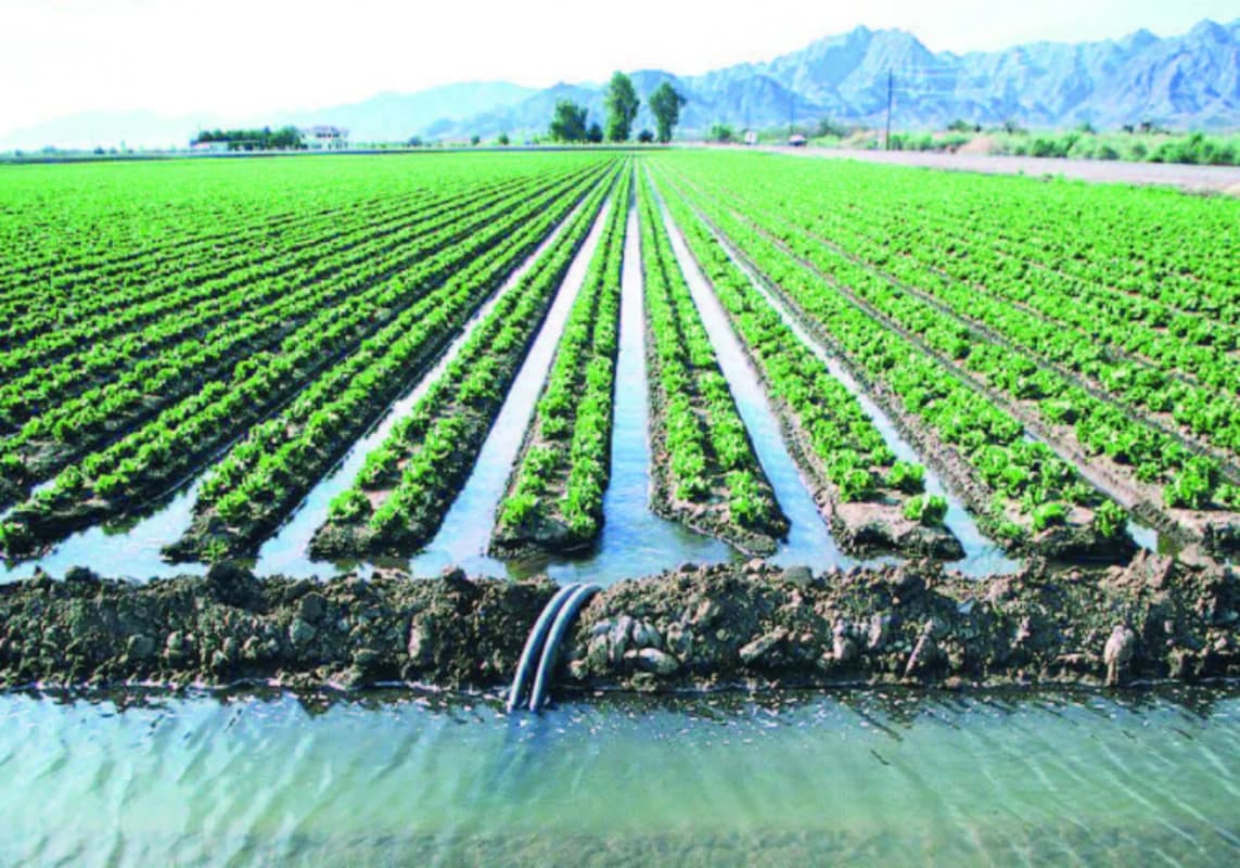 Kənd təsərrüfatı məhsulları təhlükədə - Qiymətlərə təsiri olacaqmı?