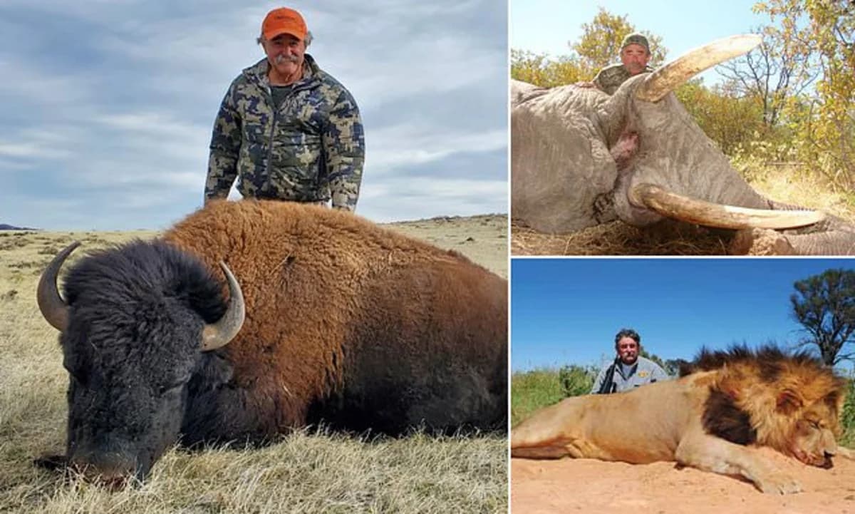 Amerikalı milyoneri Afrikada fillər tapdalayıb öldürdü - FOTO