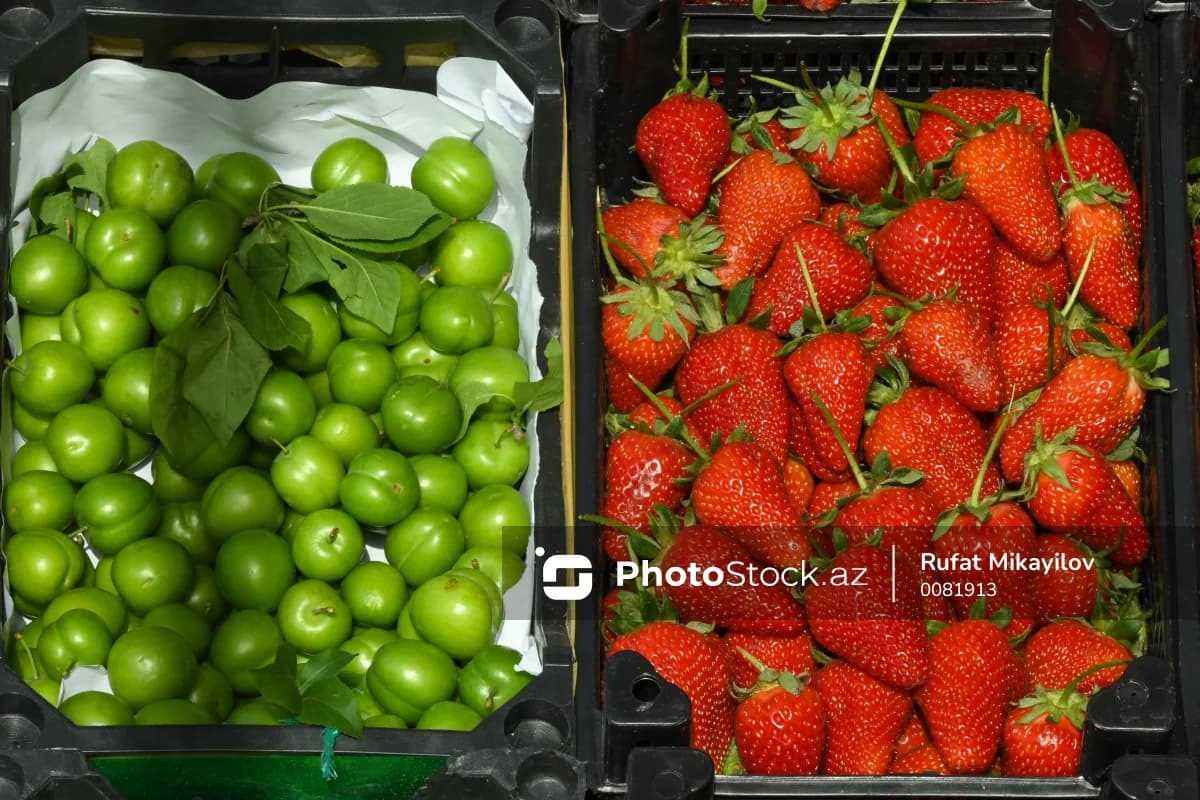 Fermerlər zərər içində: Çiyələk və alça bu il baha ola bilər - VİDEO