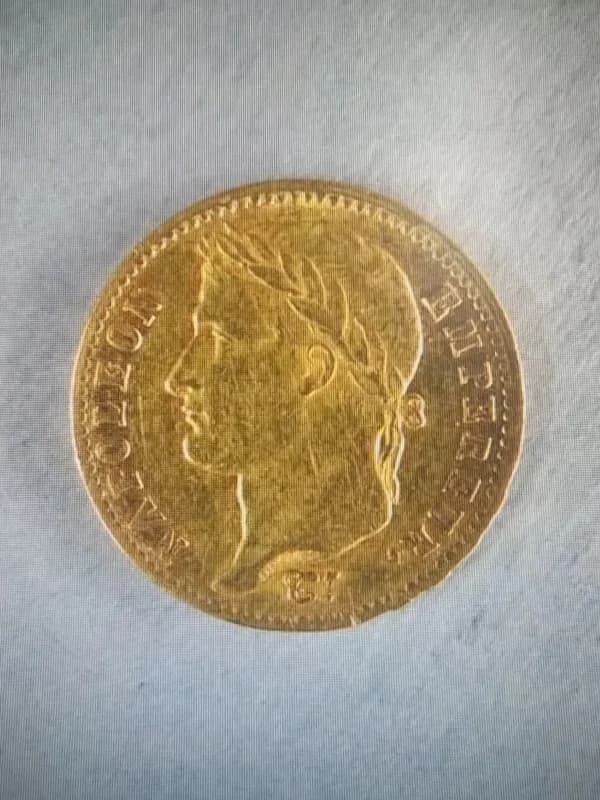 Fransada muzeydən oğurlanan qızıl sikkələr Rusiyada aşkarlandı - FOTO