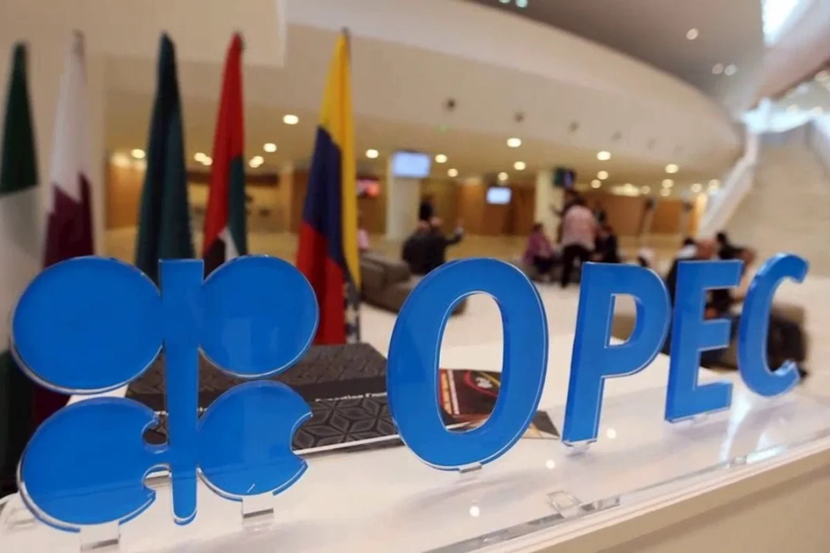 BƏƏ-nin OPEC-dən çıxmasının mümkün nəticələri açıqlanıb