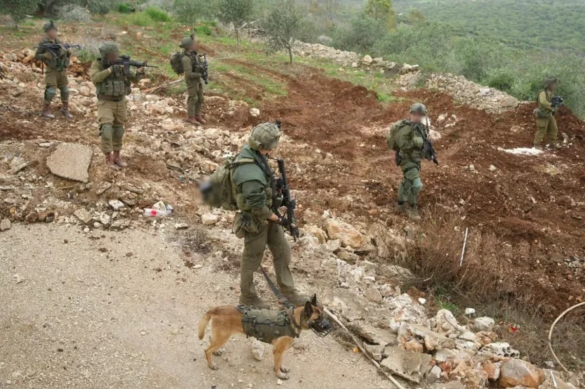 SAXAL Livanda "Hizbullah"ın silah anbarını tapdı - FOTO - VİDEO