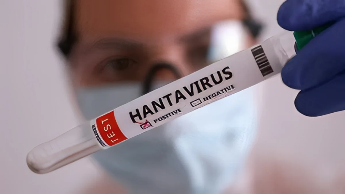 Dünya yeni virusun qorxusu altında: Hantavirus İsrailə də çatdı